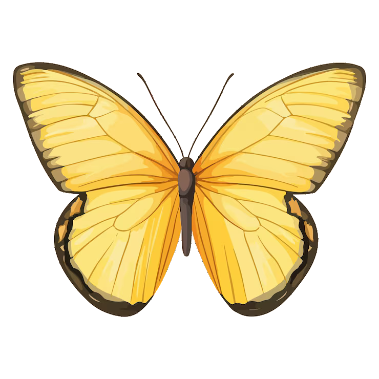 FREE BUTTERFLYS Logo